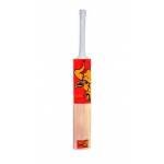 Beastt Elite Kashmir Willow Cricket Bat  (Short Handle, 1. kg)